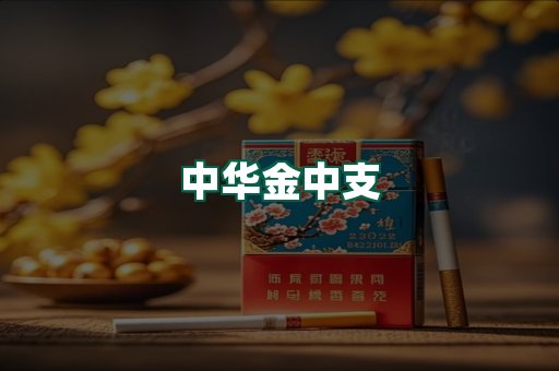 中华金中支